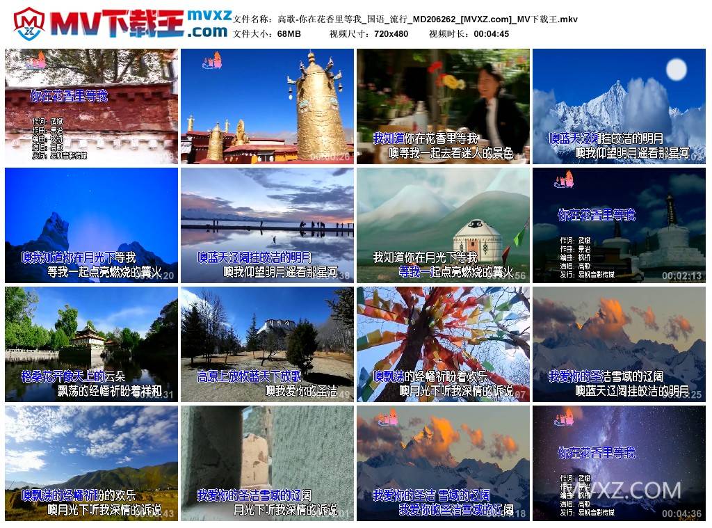 高歌-你在花香里等我_国语_流行_MD206262